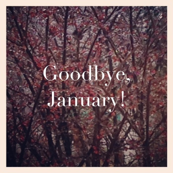goodbye-January