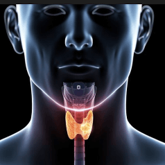diagnozowanie chorob tarczycy